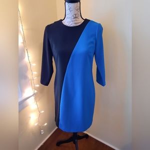 Ann Taylor Colorblock Dress